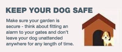 Tips And Suggestions For Keeping Your Dog Safe From Thieves Stambourne