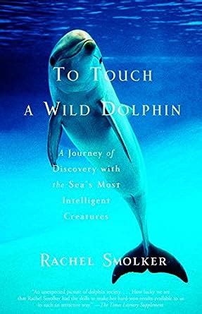 To Touch A Wild Dolphin A Journey Of Discovery With The Sea S Most Intelligent Creatures