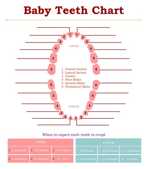 5 Ways to Track Your Teeth with a Tooth Chart