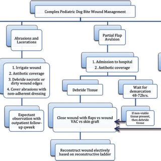 Top 188 Animal Bite Treatment Guidelines Lestwinsonline Com