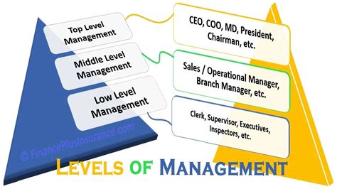 Top Level Management Examples Functions Skills Roles