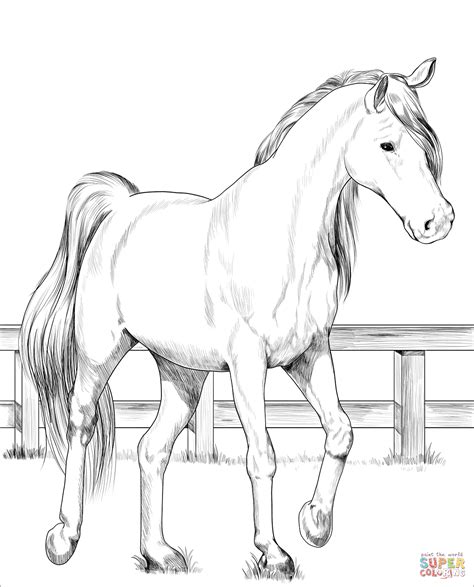 Trakehner Horse Coloring Page Horse Coloring Books Horse Coloring