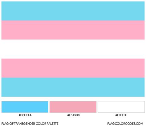 Trans Flag Color Palette