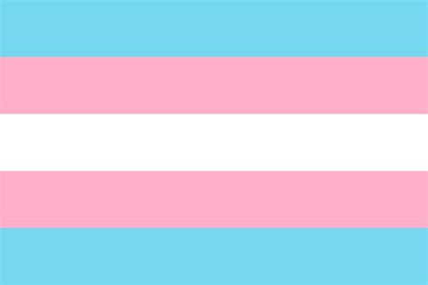 Trans Pride Flag Palette Hex Pride Flag Colors Trans Pride Flag