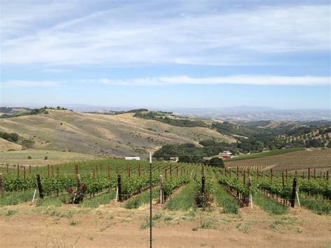 Travel To Paso Robles Wineries What S All The Hype About