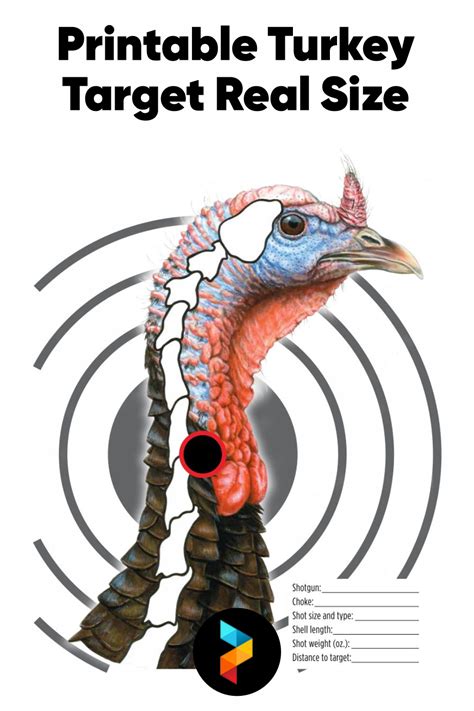 Turkey Target Real Size 10 Free Pdf Printables Printablee