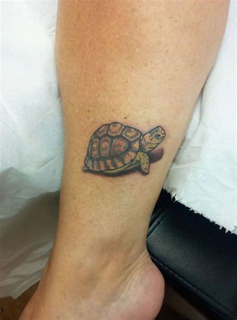 Turtle and Tortoise Tattoo Designs and Meanings