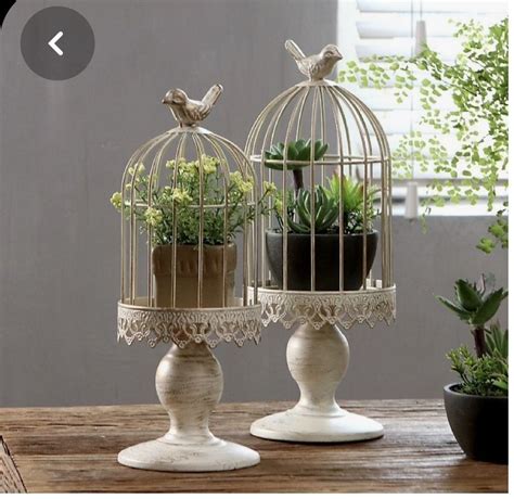 Two Bird Cages With Plants In Them On A Table