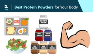 Types Of Protein Powders And Their Benefits Fitolympia