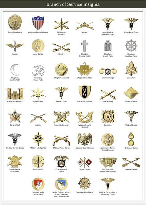 U S Army Branch Insignia Chart