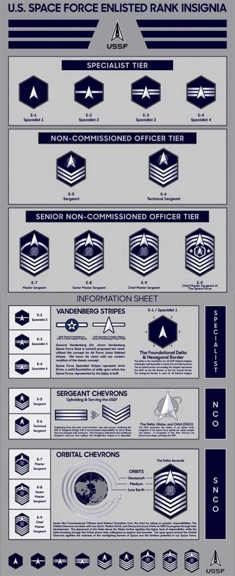 U S Space Force Enlisted Rank Insignia Ssy Sss Ae E E Ussf