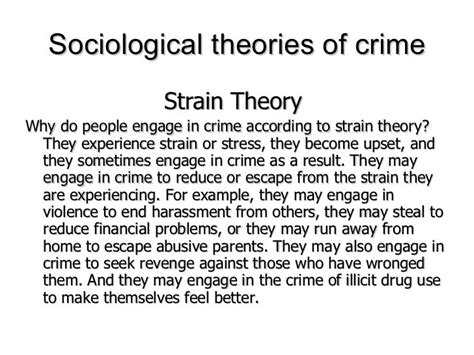 Unit 12 Sociological Theories Of Crime