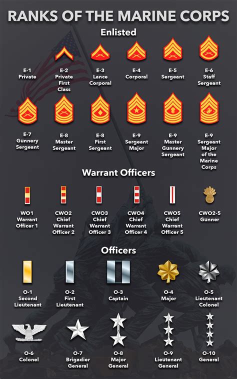 United States Marine Corps Rank Insignia Marine Corps Rank Structure