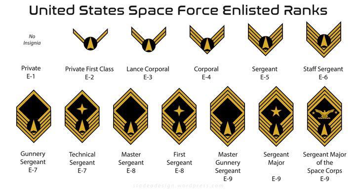 United States Space Force Rank Structure Youtube