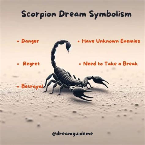 Unlocking The Meaning What Does It Mean If You Dream About A Scorpion