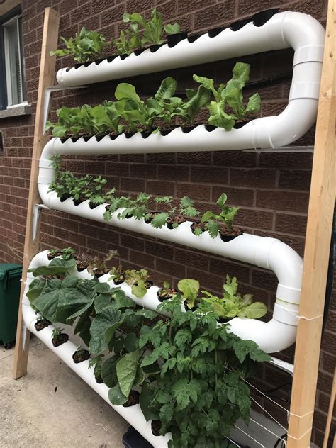 Update On My Nft Hydroponic System R Hydroponics