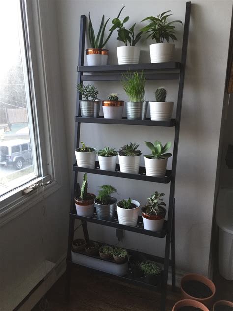 Updated Indoor Plant Stand Send Help R Indoorgarden