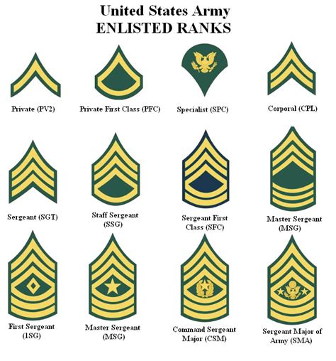 Us Military Ranks Amp Insignias Military Ranks Non Commissioned Officer America Amp 39 S Army