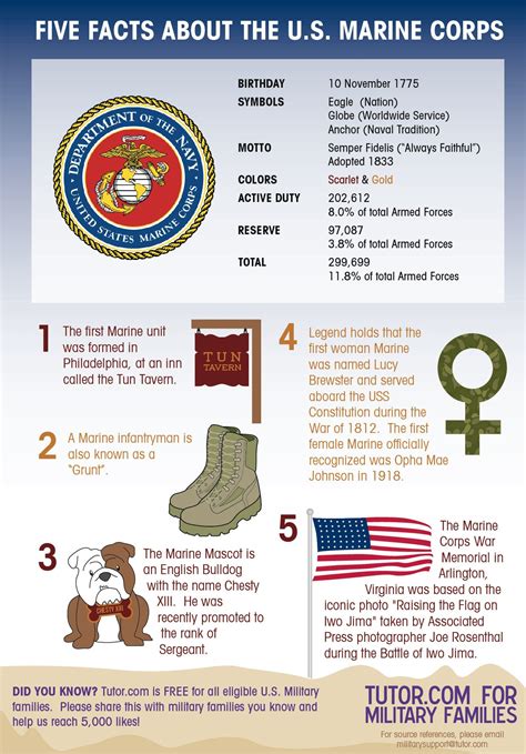 Us Navy Facts And Figures