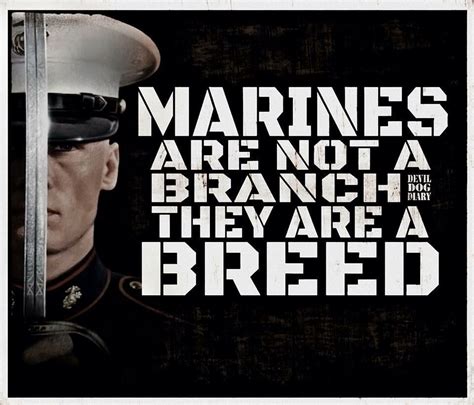 Usmc Pictures Usmc Uniform Usmc Marine Corps Marine Corps Quotes