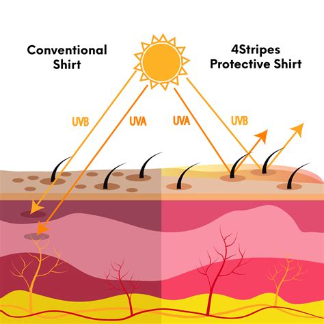 Uv Rays Pilot Shirt Uv Rays Can Suppress The Skin S Immune System