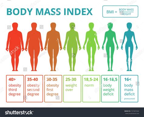 Vektor Stok Medical Infographics Illustrations Female Body Mass Tanpa