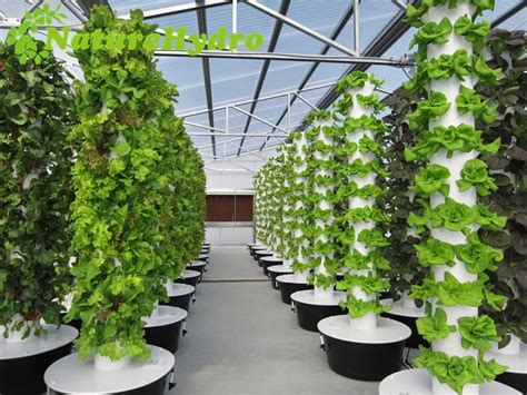 Vertical Garden Tower Canada China Ordering Aeroponics Vertical Growing Hydroponics 71