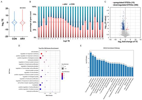 Viruses Free Full Text Transcriptomic And Translatomic Analyses