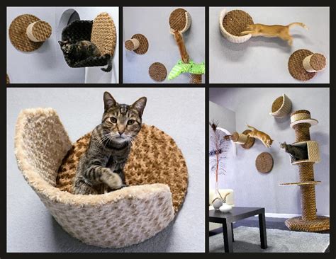 Wallcradle Etsy In 2020 Cat Shelves Cat Wall Shelves Cat Furniture