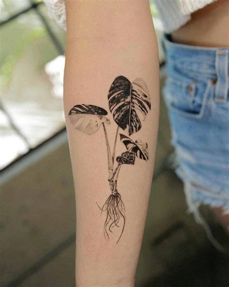 Wanderlushinterior On Instagram More Plant Tattoos