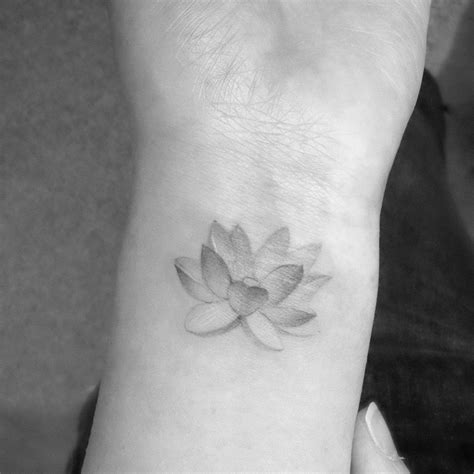 Water Lily Tattoo Design Pack 4 Psd And Png Files Perfect For Artists