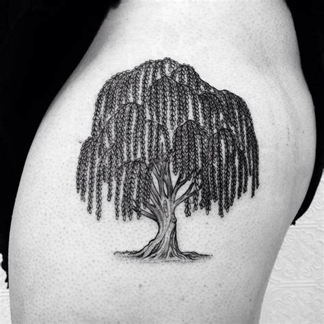 Weeping Willow Tattoo Designs Ideas And Meaning Tattoos For You