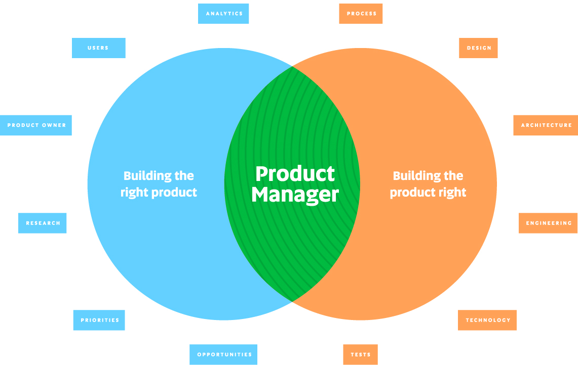 What Are Product Manager Amp 39 S Roles And Responsibilities Infinity