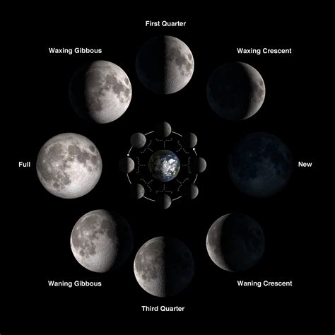 What Are The 8 Major Phases Of The Moon Earth How