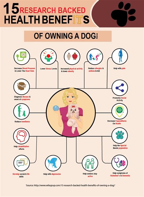 What Are The Benefits Of Owning A Dog