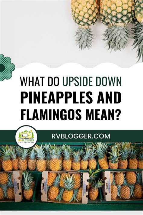 What Does An Upside Down Pineapple Mean Exploring Its Symbolism And Significance Fruit Faves