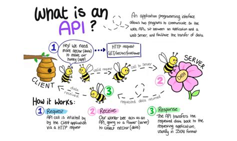 What Is Api Meaning Types Examples