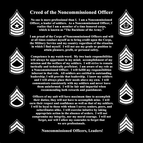 Non-Commissioned Officer: The Backbone of the Army