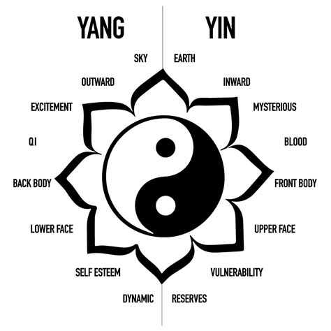 What Is Yin And Yang Beauty Point By Point