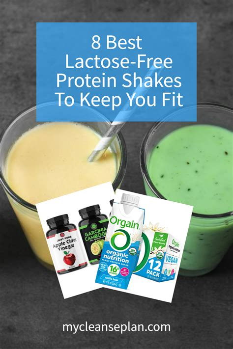 What Protein Shakes Are Lactose Free Top Recommendations For Lactose Intolerant Fitness