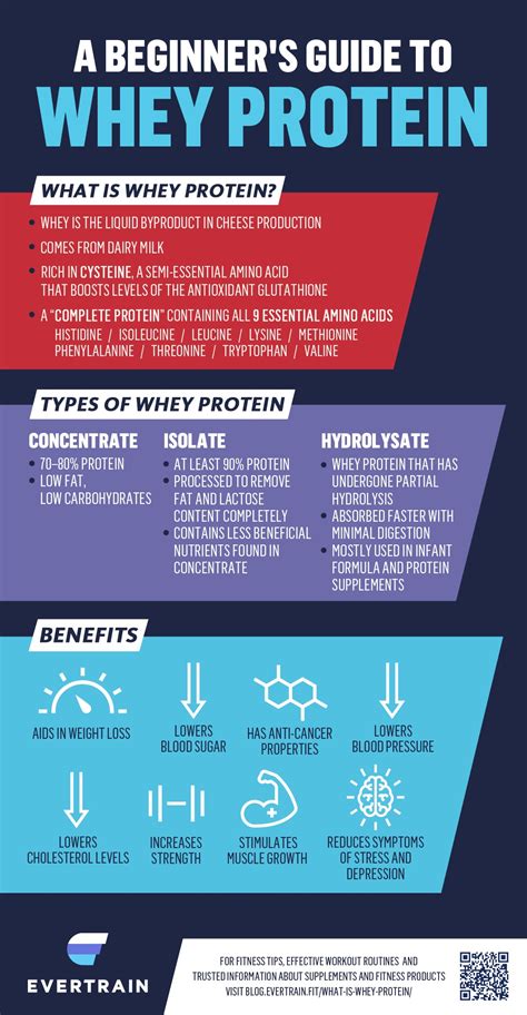 Whey Protein Understanding Types Benefits Protein Intake