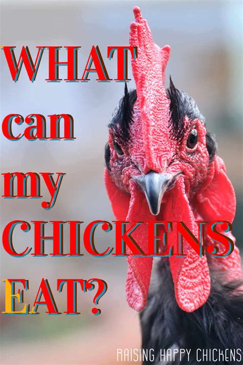 Who Was The First To Eat Chicken At Reginald Robbins Blog