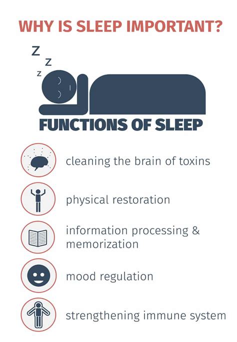 Why Sleep Is Important Pdf