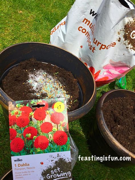 Wilko Gardening Product Review Feasting Is Fun