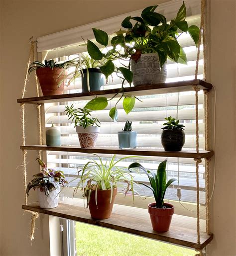 Window Plant Shelf Ideas to Brighten Up Your Space