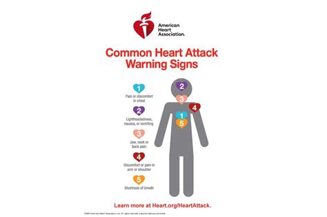 Winter Holidays Bring More Heart Attack Deaths Than Any Other Time Of