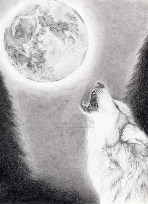 Wolf Howling At Moon Sketch At Paintingvalley Com Explore Collection