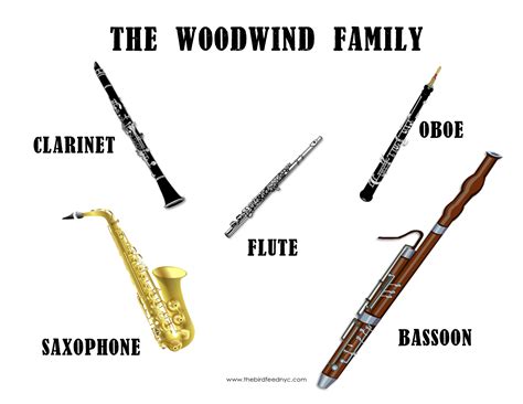 Woodwind Family Families Of Instruments