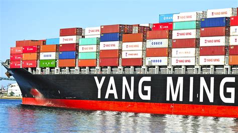 Yang Ming Launching Two Last 14 000Teu Container Vessels Levaco