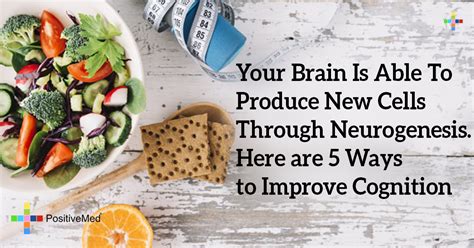 Your Brain Is Able To Produce New Cells Through Neurogenesis Here Are